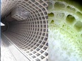 Wieżowiec Ponte City Apartments w Johannesburgu i jego szkielet konstrukcyjny w zestawieniu z konstrukcją łodygi pałki szerokolistnej. 
Zestawienie: Jan Kalabiński, fot. Geoffrey Hancock (wieżowiec z zewnątrz), źródło: wikipedia org; niepodpisane (wieżowiec od wewnątrz), źródło: http://drapaczechmur.eu/ponte-city-apartments-johannesburg-rpa-173m/, Jan Kalabiński (rdzeń łodygi pałki szerokolistnej)